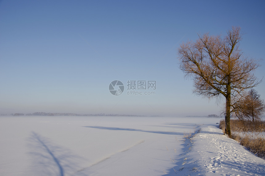 冬季寒冬的清晨风景 有雾雾和树影图片