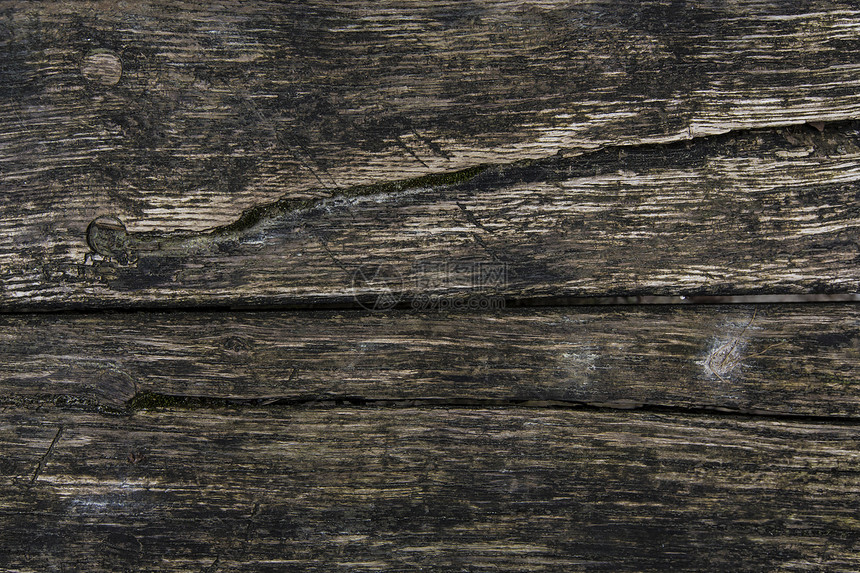木质纹理染色藻类苔藓地面风格装饰橡木木工材料控制板图片