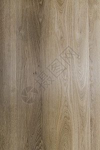 橡树纹理桌子硬木自然纹松树橡木控制板棕色木材材料条纹背景图片