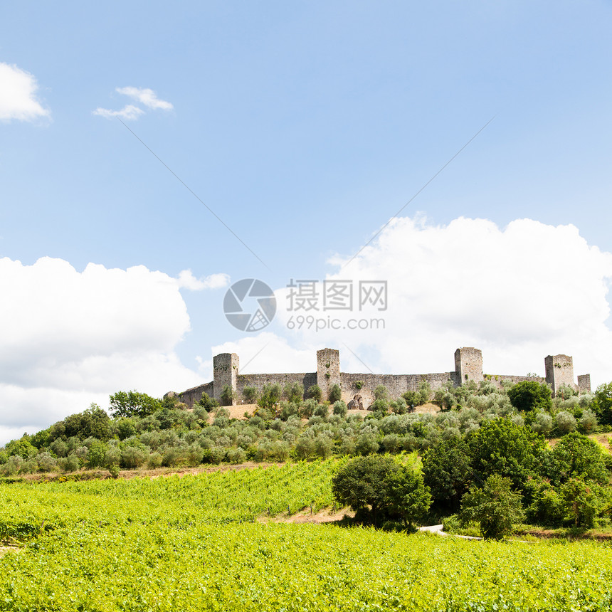 托斯卡纳酒庄园绿色村庄酒厂酒庄葡萄园场地水果植物风景农村图片