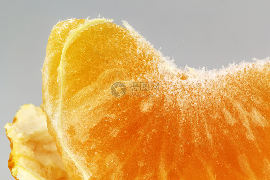 橙片食品热带小吃健康食物宏观橙色水果影棚图片