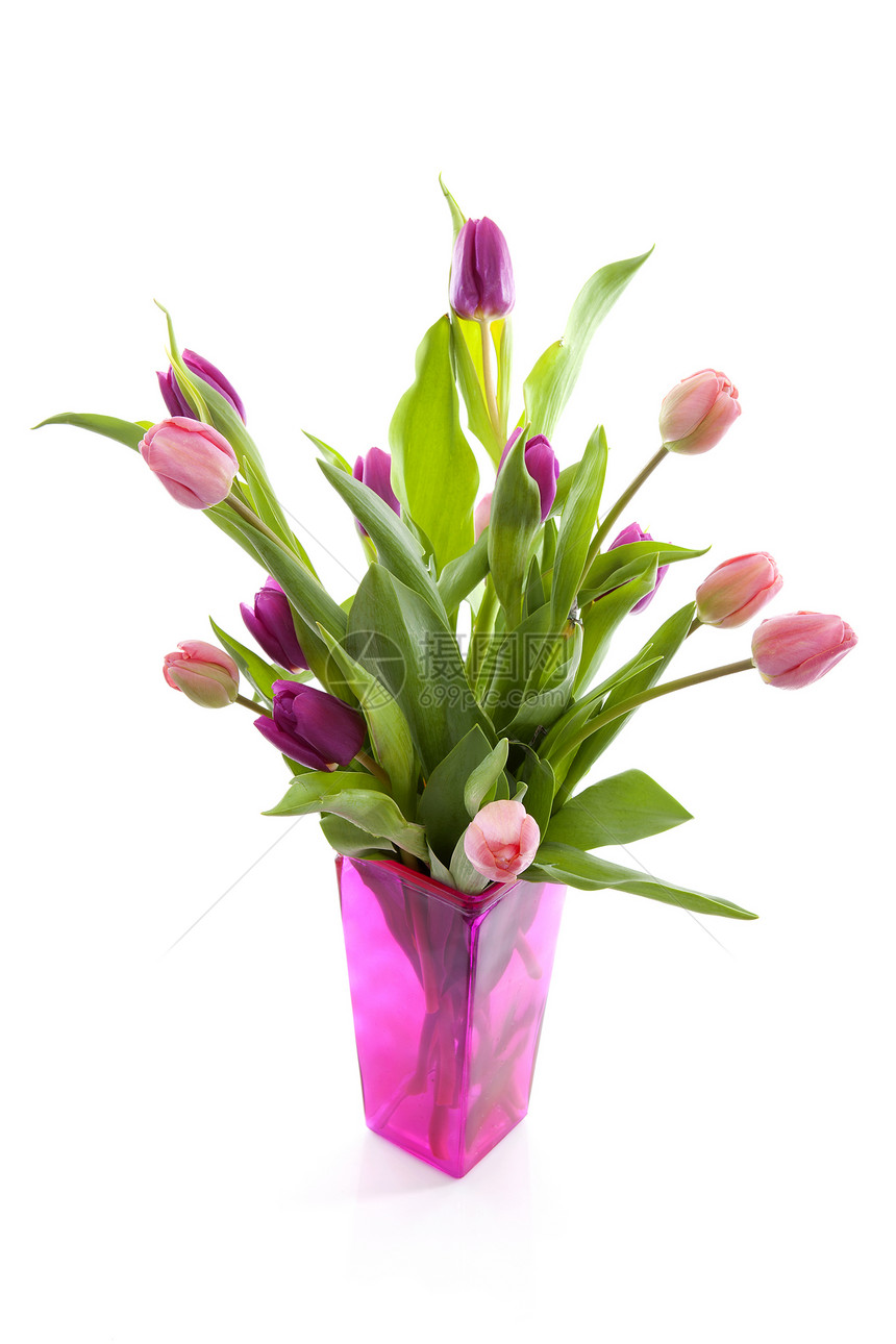 花瓶中粉红色荷兰郁金香粉色紫色树叶灯泡花朵绿色花束图片