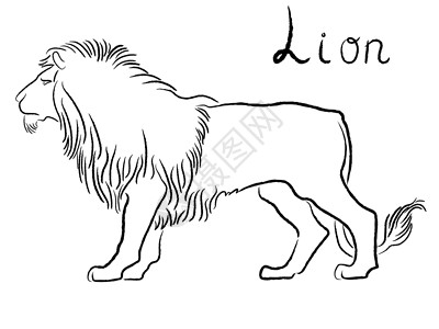 鬃毛黑色优雅的狮子图案插画