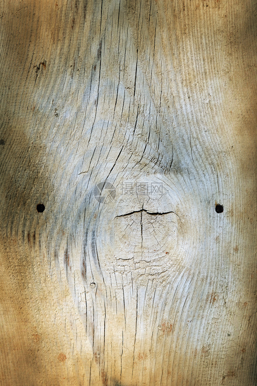 木质纹理木材硬木边界风格松树木板材料装饰框架地面图片