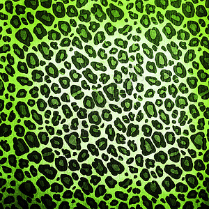 豹型式荒野野生动物情调织物材料异国老虎动物墙纸斑点高清图片