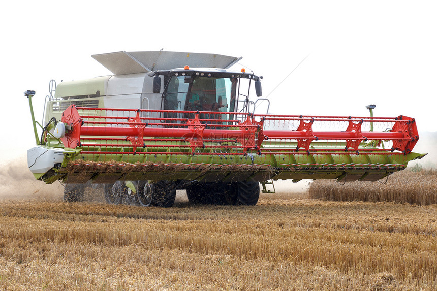 谷物收割器金子机械生产农场小麦畜牧业大麦场地种子麦田图片