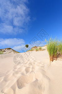 沙滩草沙漠景观旅行沙丘天空蓝色沙滩爬坡海岸海岸线脚印生长背景