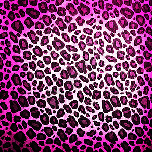 豹型式墙纸荒野织物皮革正方形动物异国动物园材料情调高清图片
