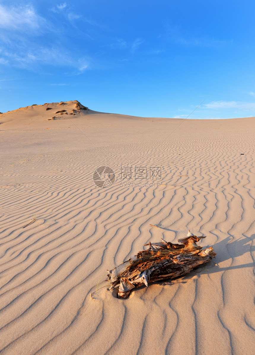 沙漠景观动作海岸旅行蓝色太阳国家海滩路线甜点支撑图片