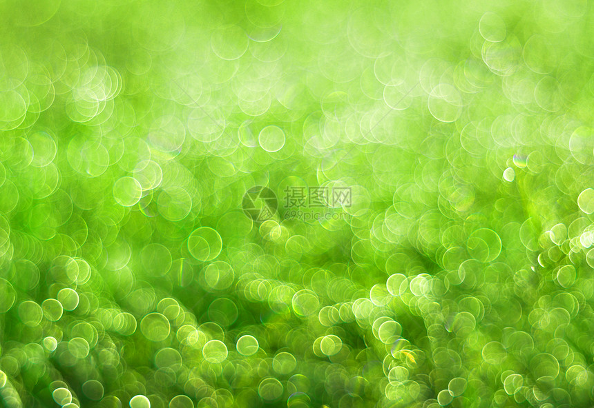 绿色背景镜片日光叶子白色阳光生态圆圈水平气泡圆形图片