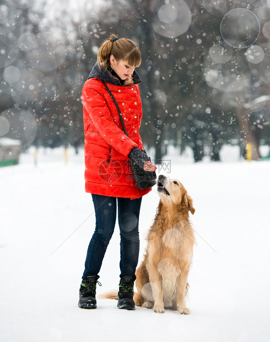 女孩与她的狗猎犬动物犬类毛皮棕色图片