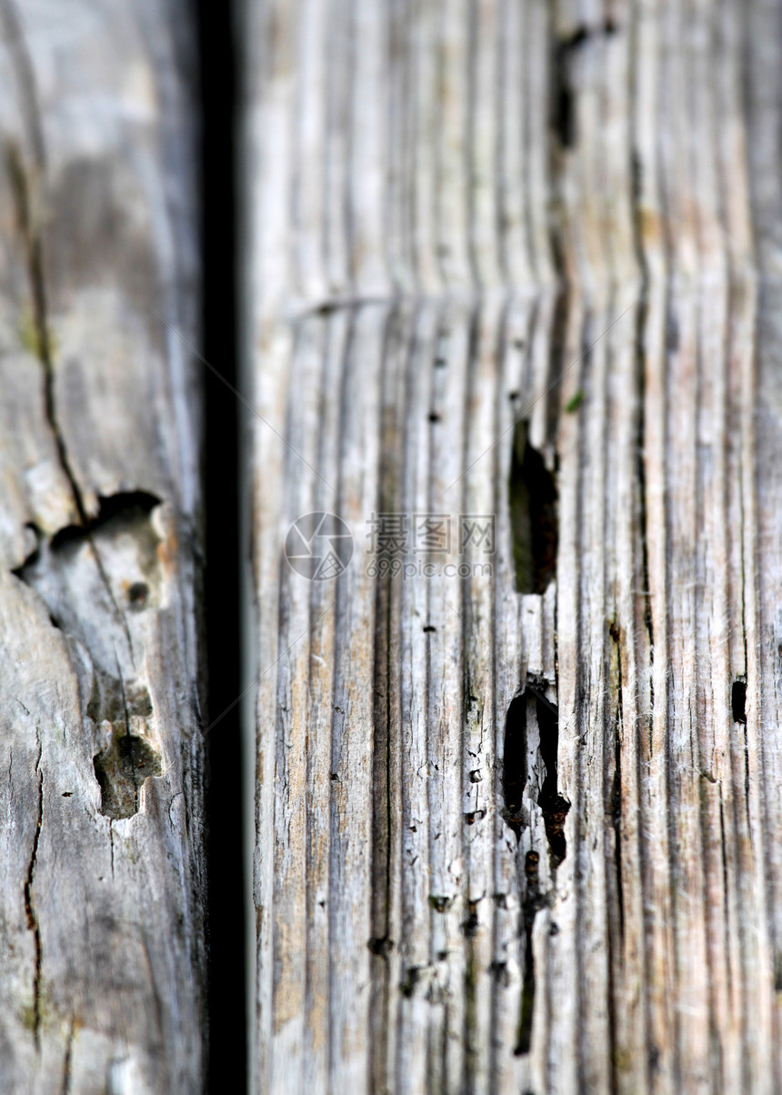 旧木材纹理植物棕色荒野颗粒状损害木头害虫木板环境昆虫图片