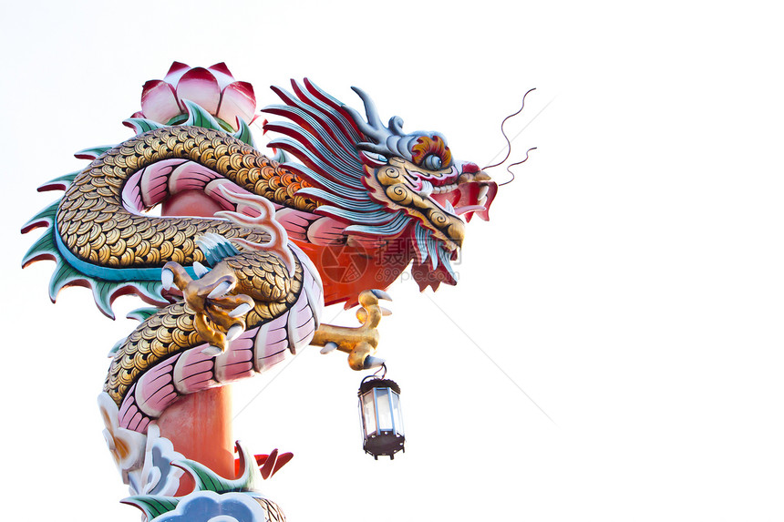 白色背景的龙雕像传统装饰品警卫力量雕塑文化天空节日建筑学寺庙图片