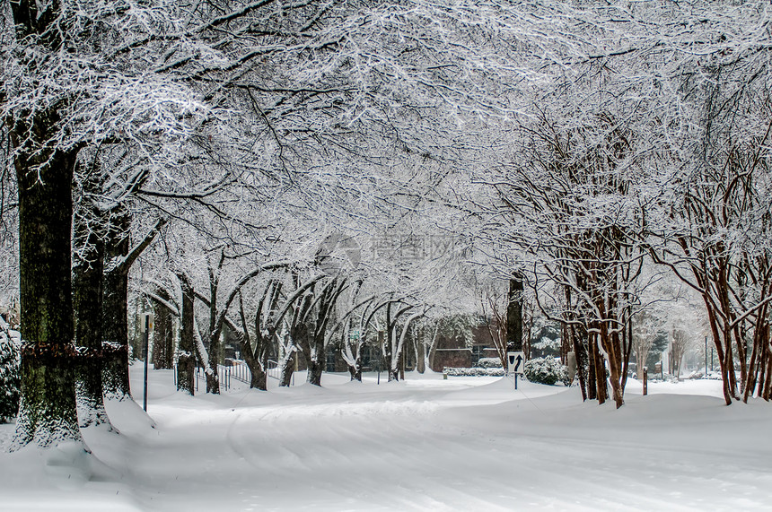冬季暴风雨过后 雪覆盖了道路和树木风暴城市薄片图片