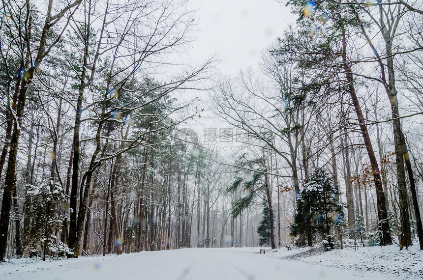 冬季暴风雨过后 雪覆盖了道路和树木风暴薄片城市图片