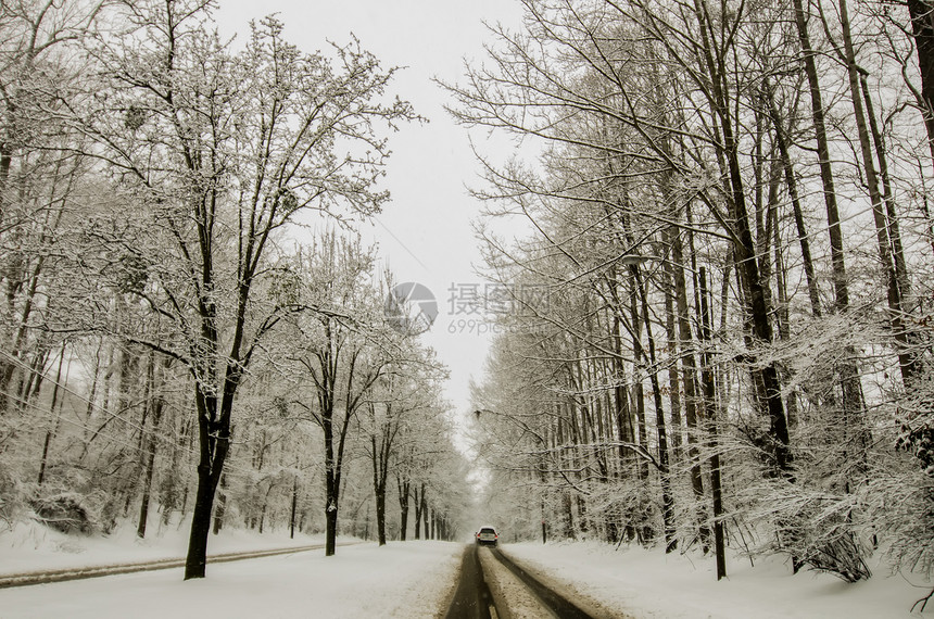 冬季暴风雨过后 雪覆盖了道路和树木城市风暴薄片图片