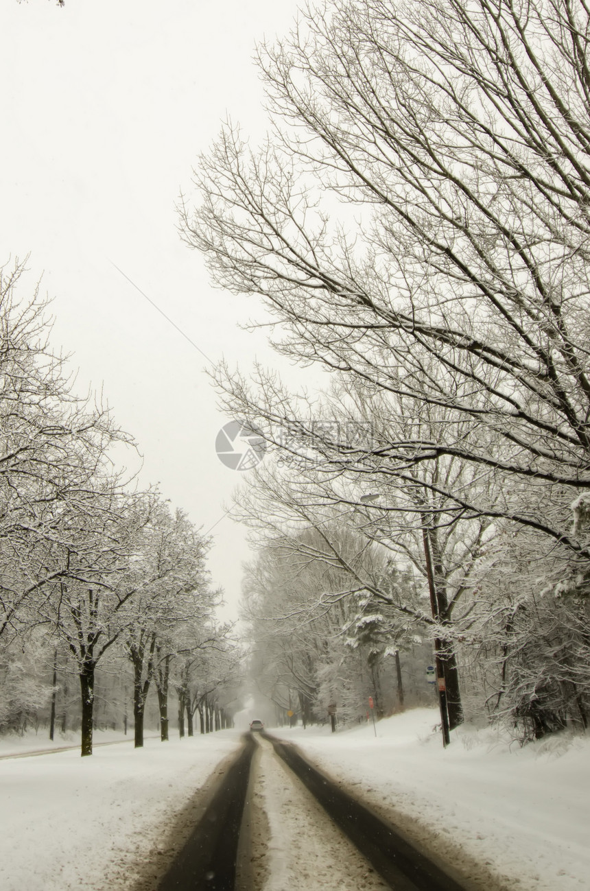 冬季暴风雨过后 雪覆盖了道路和树木风暴薄片城市图片