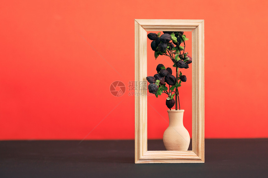 框架的鲜花植物水罐红色静物花瓶镜框园艺陶器环境木头图片