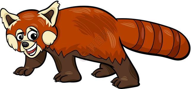 红熊猫动物漫画插图高清图片