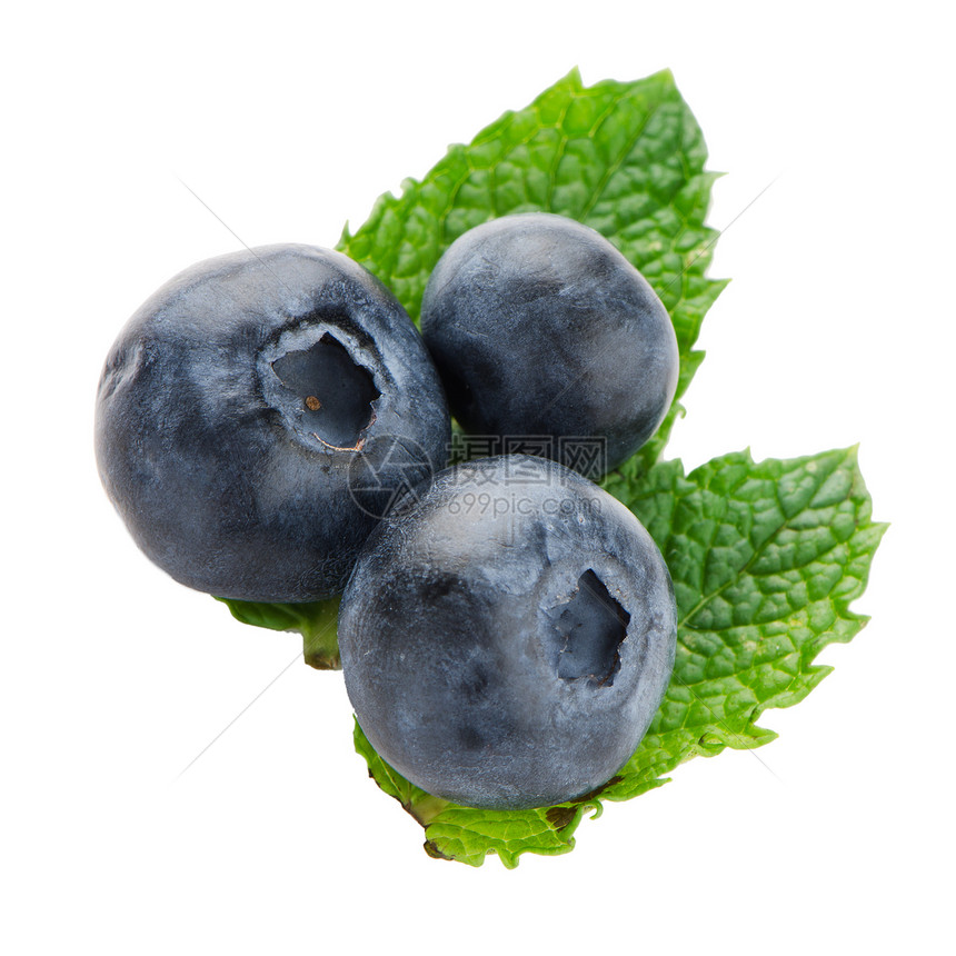 Ripe 蓝莓浆果薄荷健康叶子植物学药品治疗植物药店草本图片