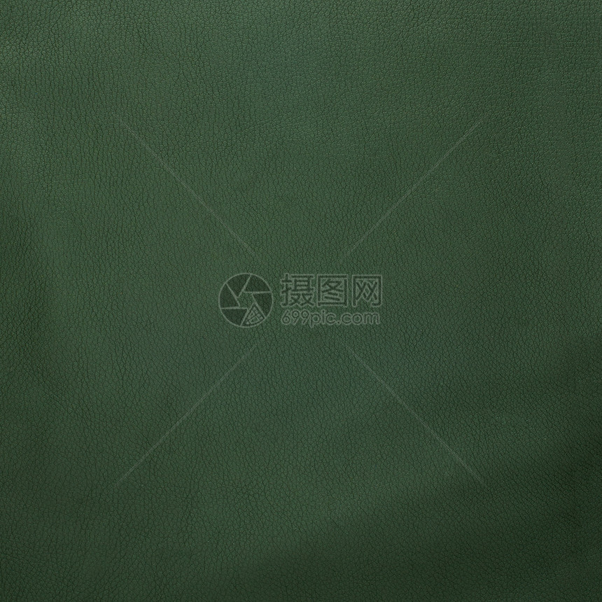 绿色皮革纹理密闭材料纺织品配饰奶牛衣服墙纸折痕隐藏奢华标签图片