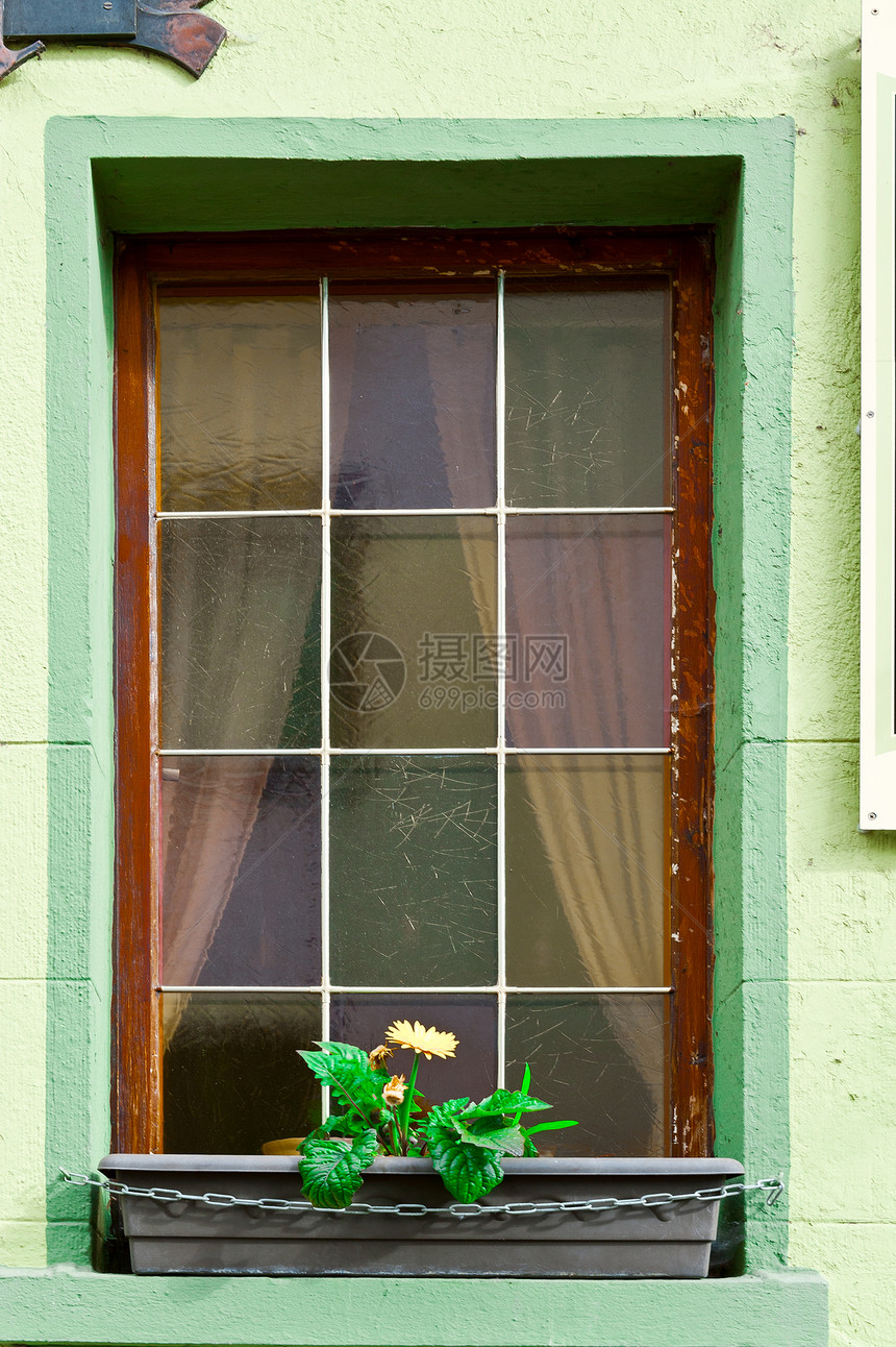 巴伐利亚窗口花瓣盒子建筑学植物学住宅绿色玻璃房子风格装饰图片