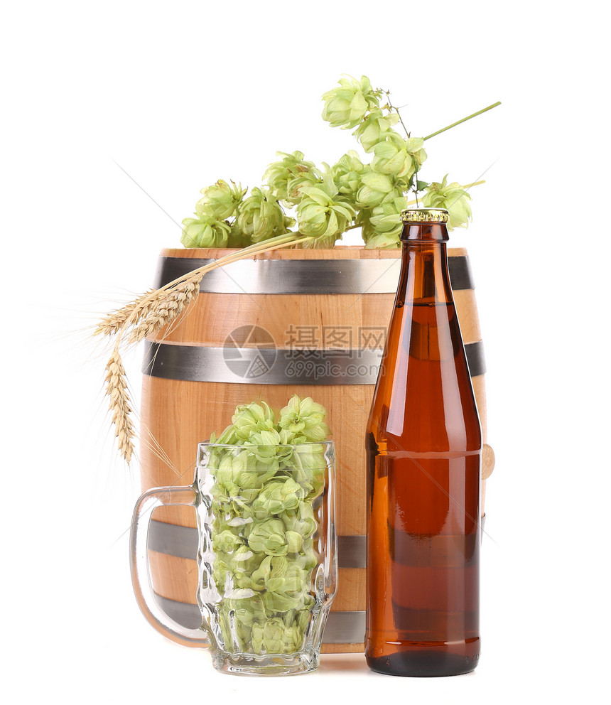 酒桶和啤酒瓶加热生产植物学小穗香气啤酒草本植物酒精植物收成谷物图片