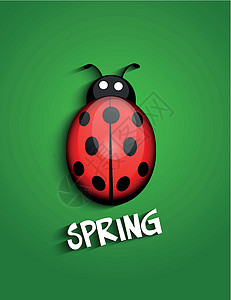 立体虫季节漏洞季节性天线红色生活甲虫生物学卡通片昆虫背景图片