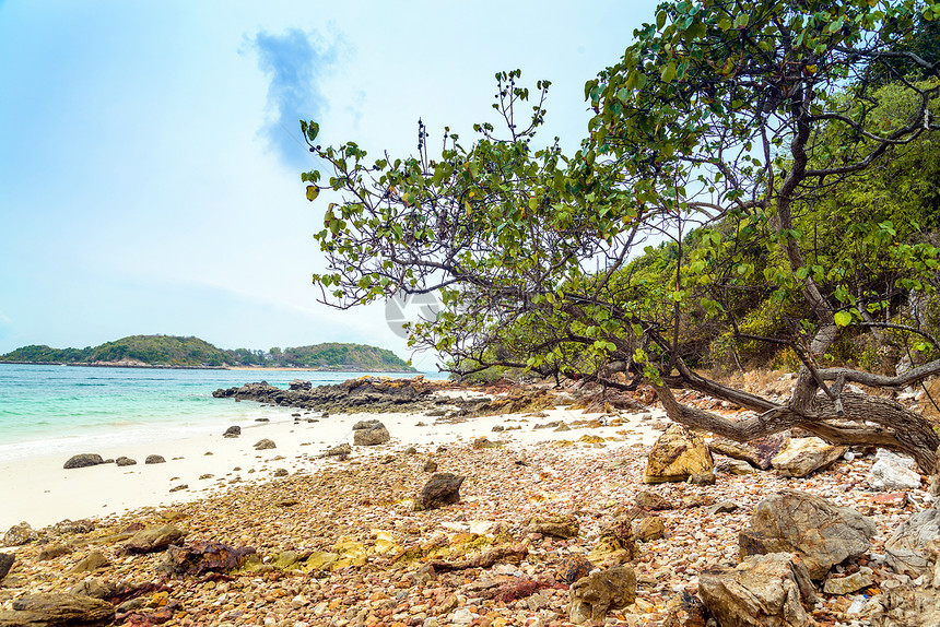 泰国Ta Yai海滩Koh Larn的景象海滩海岸叶子岩石天气海浪假期风景场景游客季节图片