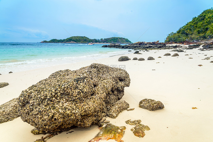 泰国Ta Yai海滩Koh Larn的景象海滩假期旅行季节天堂晴天阳光场景太阳海浪游客图片