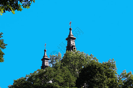 树冠上方的教堂圆顶高清图片