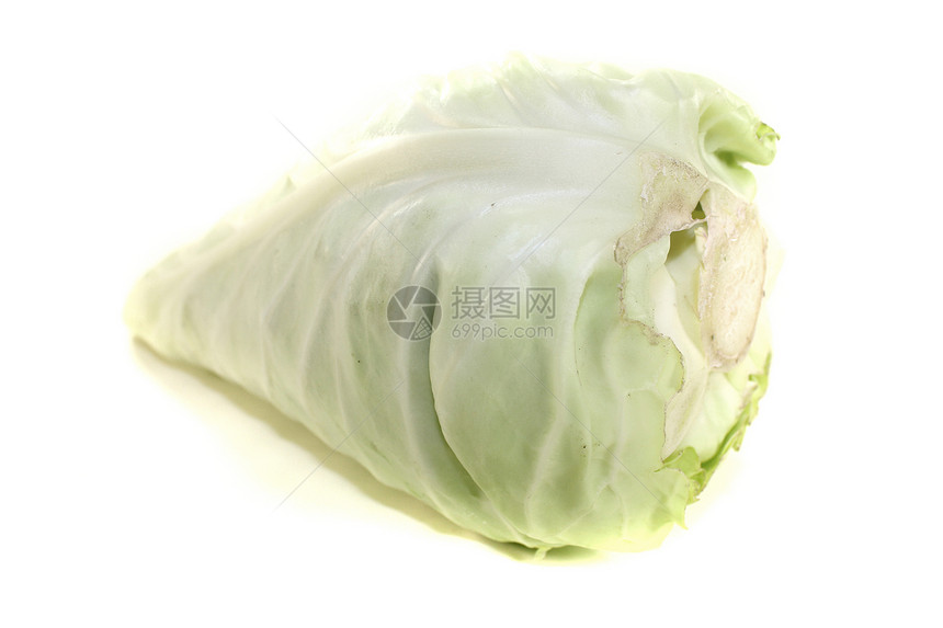 绿色甜菜卷心菜图片