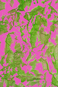 抽象背景艺术粉色绘画绿色艺术品帆布背景图片
