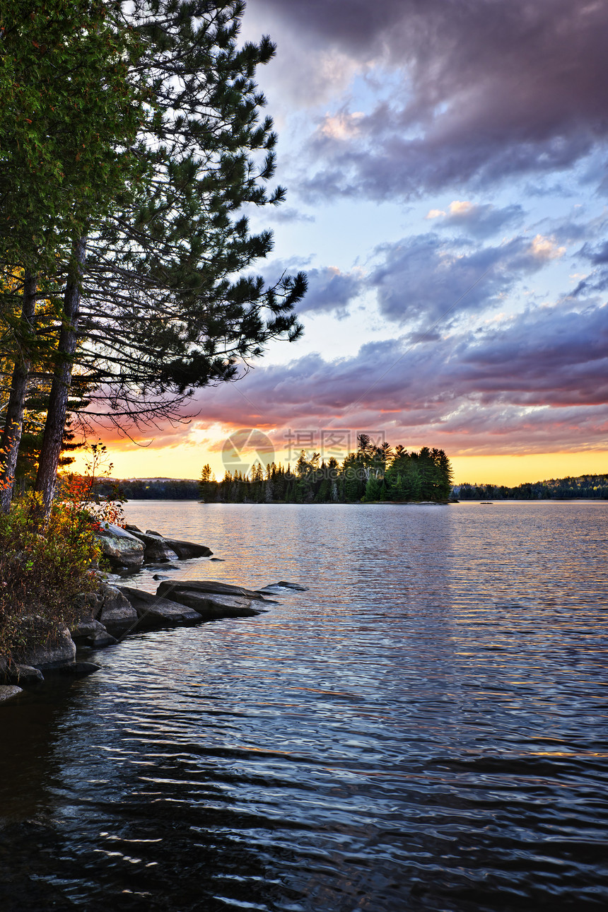 湖边戏剧性的日落海岸森林木头太阳反思荒野松树天空树木反射图片