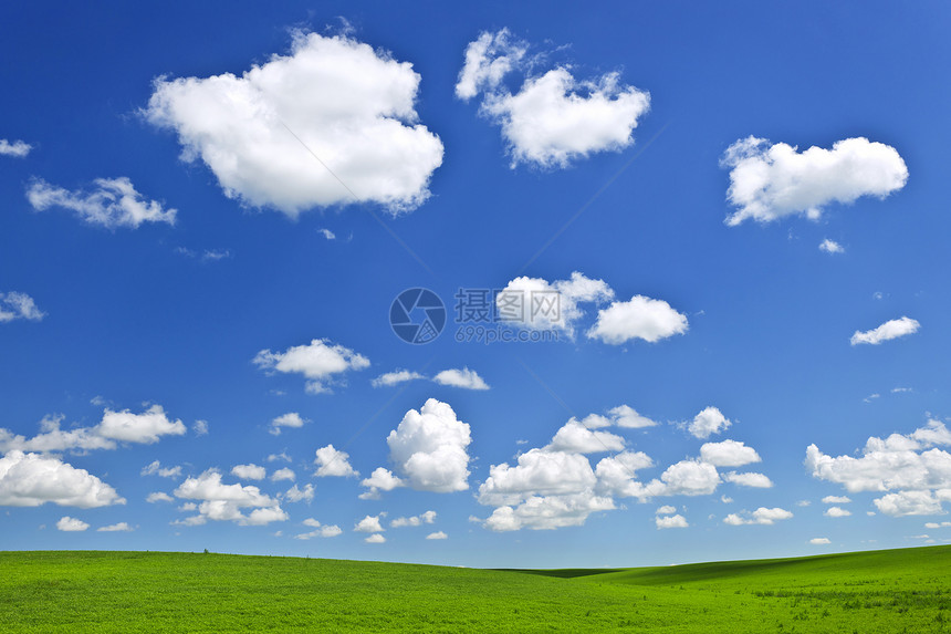 蓝天空下的绿色滚动山小麦蓝色地平线滚动爬坡天空大草原农村农田农业图片