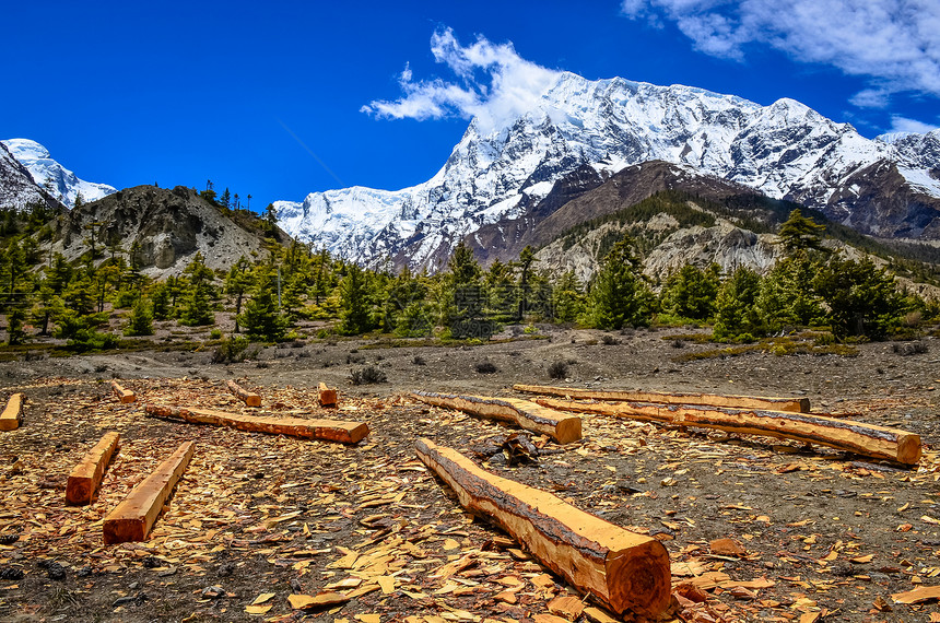 喜马拉雅山山地的木材图片