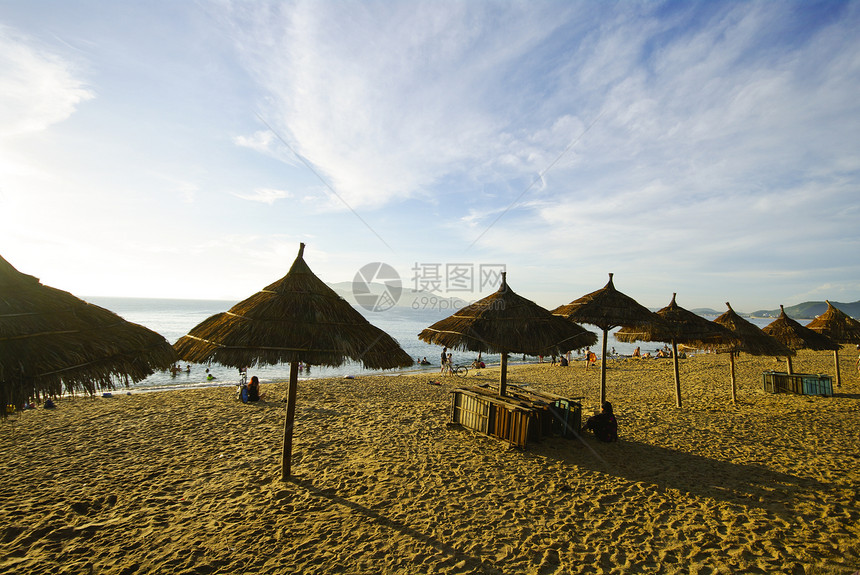 海滩景 热带 太平洋 早上椅子水池游泳奢华地平线椰子躺椅云景闲暇假期图片