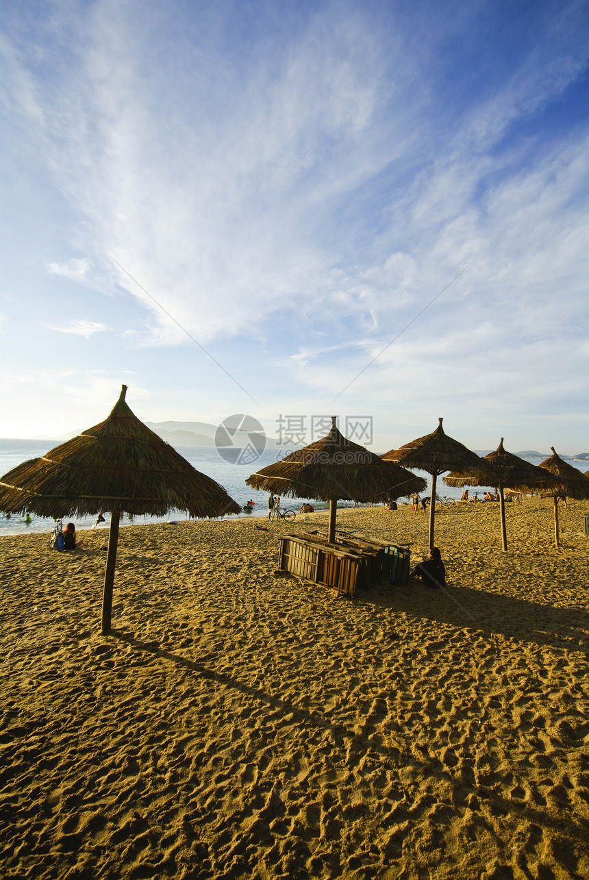 海滩景 热带 太平洋 早上地平线酒店椰子旅行追求海浪天空闲暇休息室奢华图片