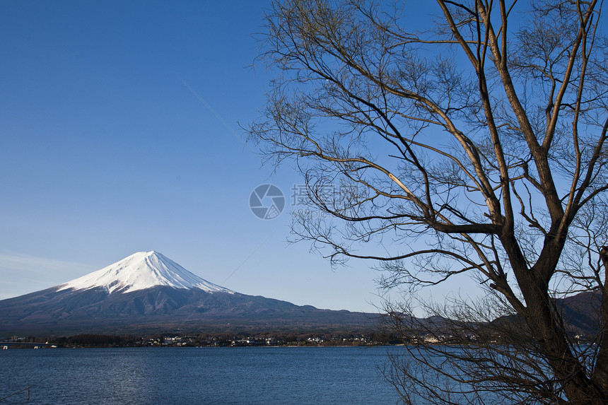 美丽的富士山与湖 雅潘公吨反射假期顶峰树木蓝色花朵旅行字法天空图片
