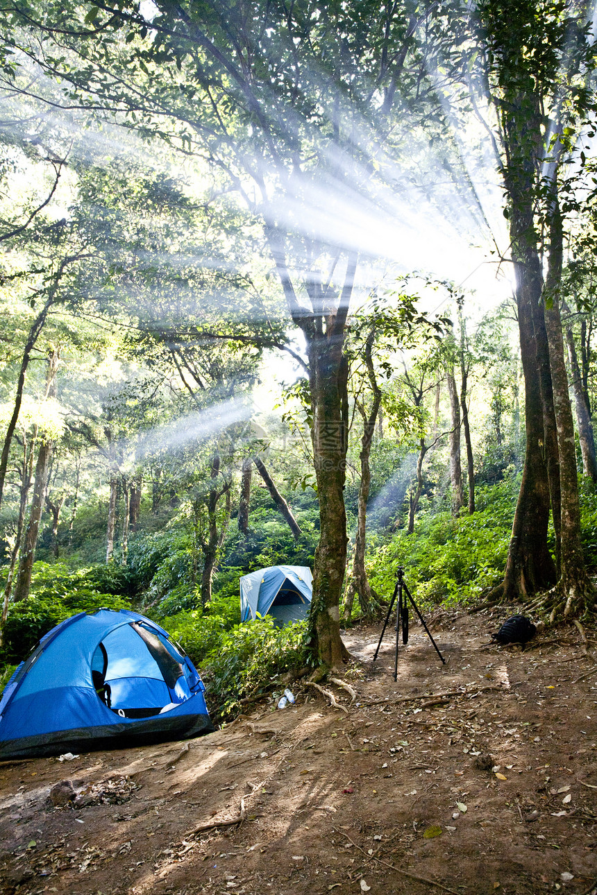 在森林中扎营帐篷日光薄雾树木公园农村远足国家荒野森林踪迹图片