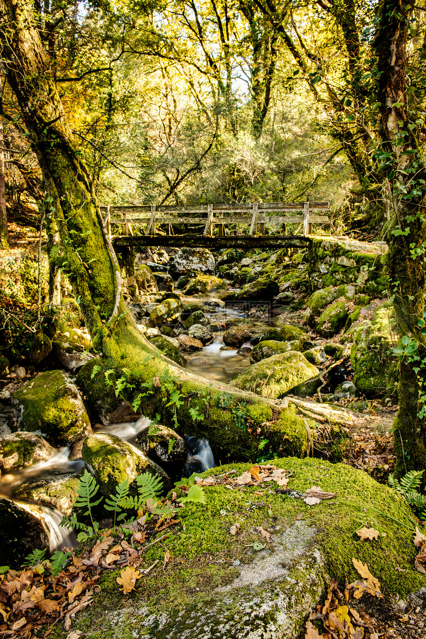 位于葡萄牙的Geres国家公园的瀑布丝绸植被环境生活流动热血森林石头叶子树木图片