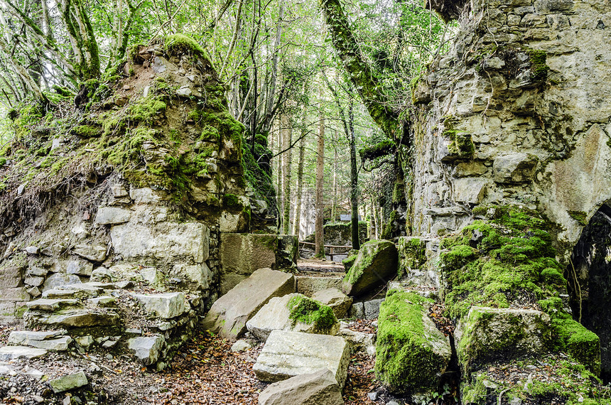 森林中的废墟石头苔藓森林绿色建筑学岩石自然树木图片