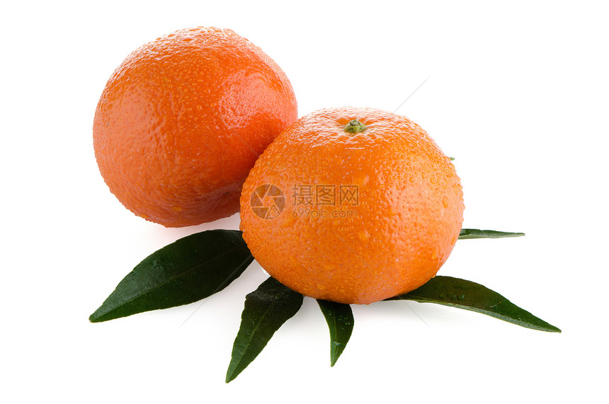 新鲜橙红文饮食甜点美食团体皮肤橙子水果果皮热带果汁图片
