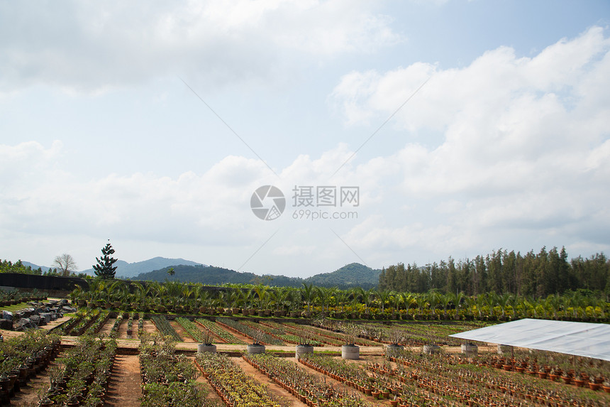 公园的轨迹花园太阳森林车道季节途径街道踪迹晴天荒野图片