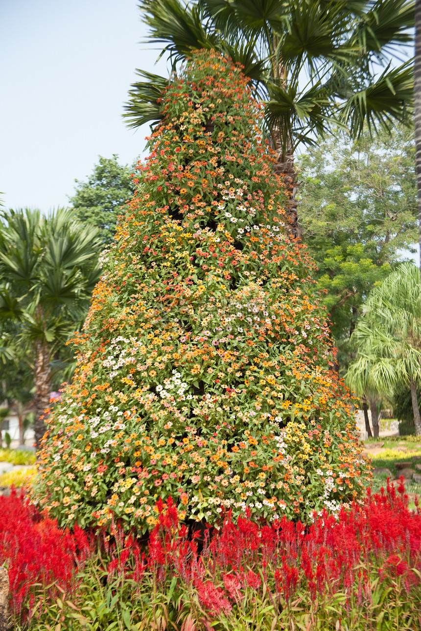 花园里有灌木小路绿色植物历史性场景旅行叶子衬套花朵园林园艺图片