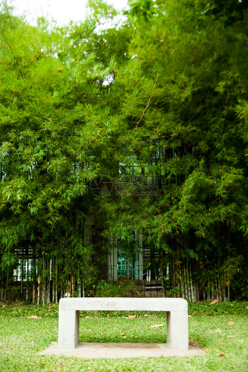 座椅和竹子植物人行道院子场景车道木头泥路花园椅子胡同图片