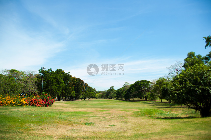 公园和明亮的天空土地风景晴天蓝色叶子花园树木场地草地阳光图片