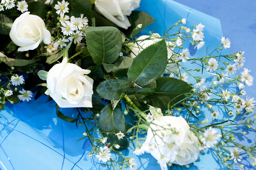 蓝色背景上带白玫瑰的花束图片