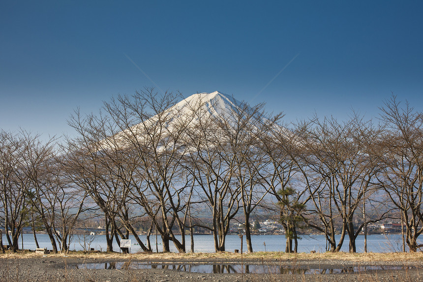 美丽的富士山与湖 雅潘天空字法树木公吨旅行公园蓝色假期顶峰分支机构图片