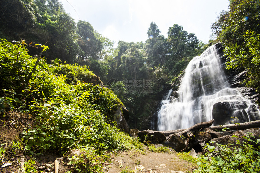 春季的降水 位于深雨林丛林中情调美丽环境运动公园植物旅行森林岩石风景图片